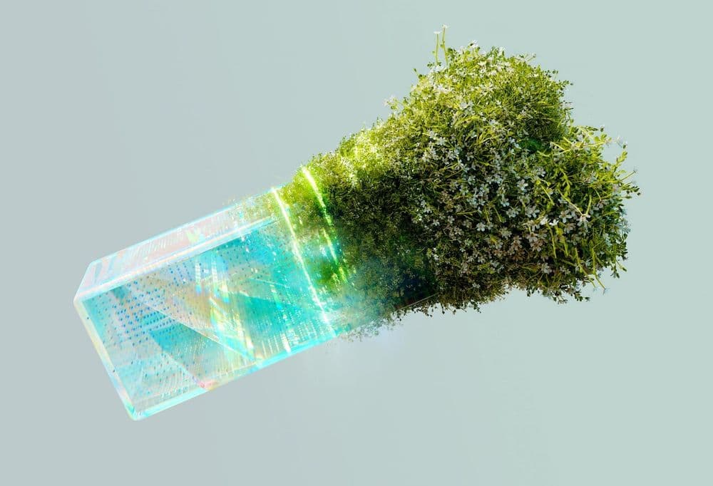 Bloco de vidro com circuitos se transformando em vegetação, entre tecnologia e natureza